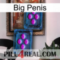 Big Penis 03